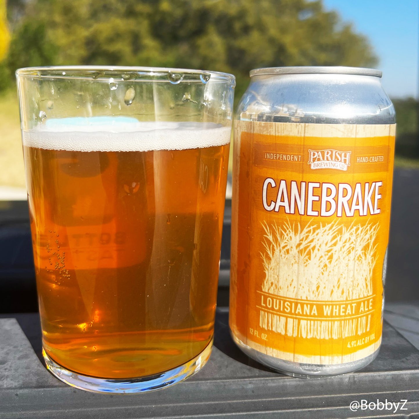 Canebrake