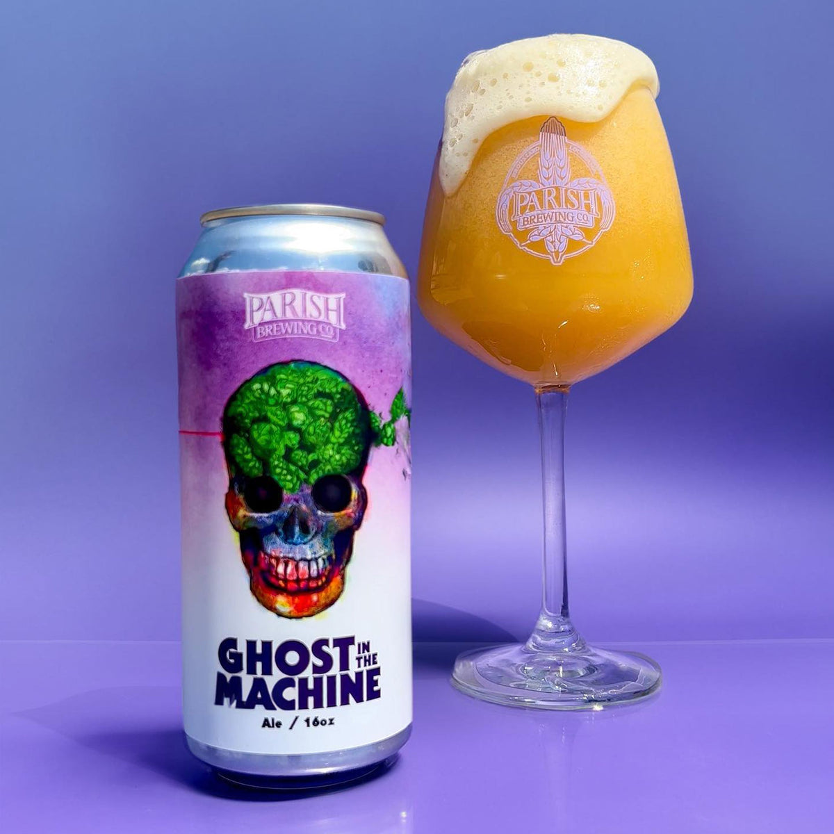 Ghost In The Machine
