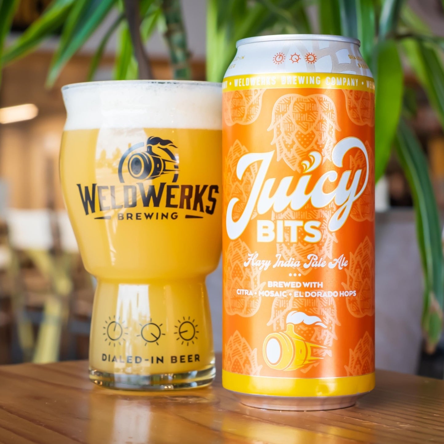 Juicy Bits
