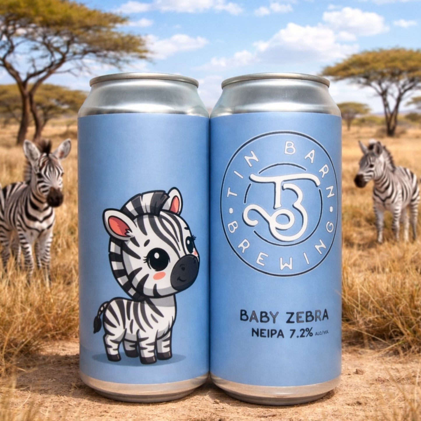 Baby Zebra