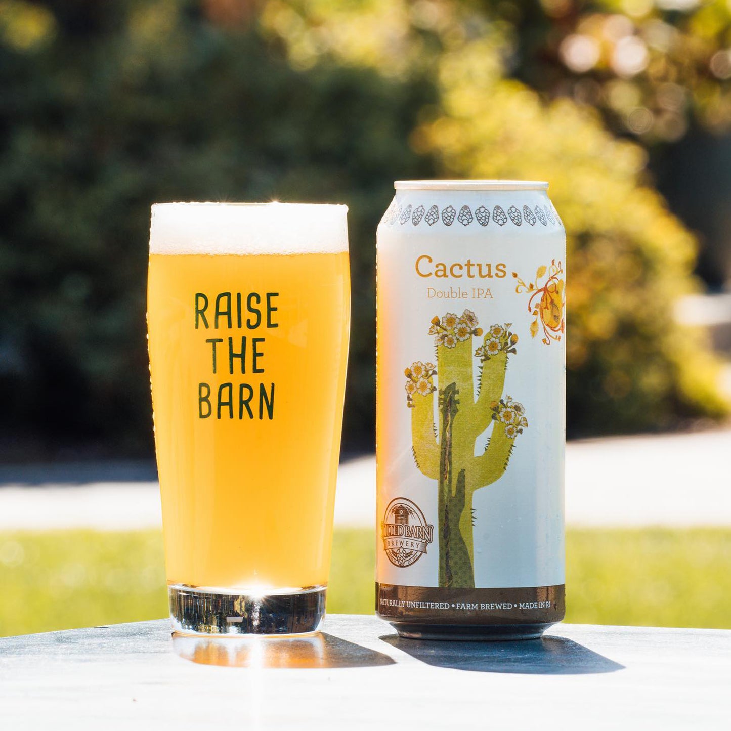 Cactus