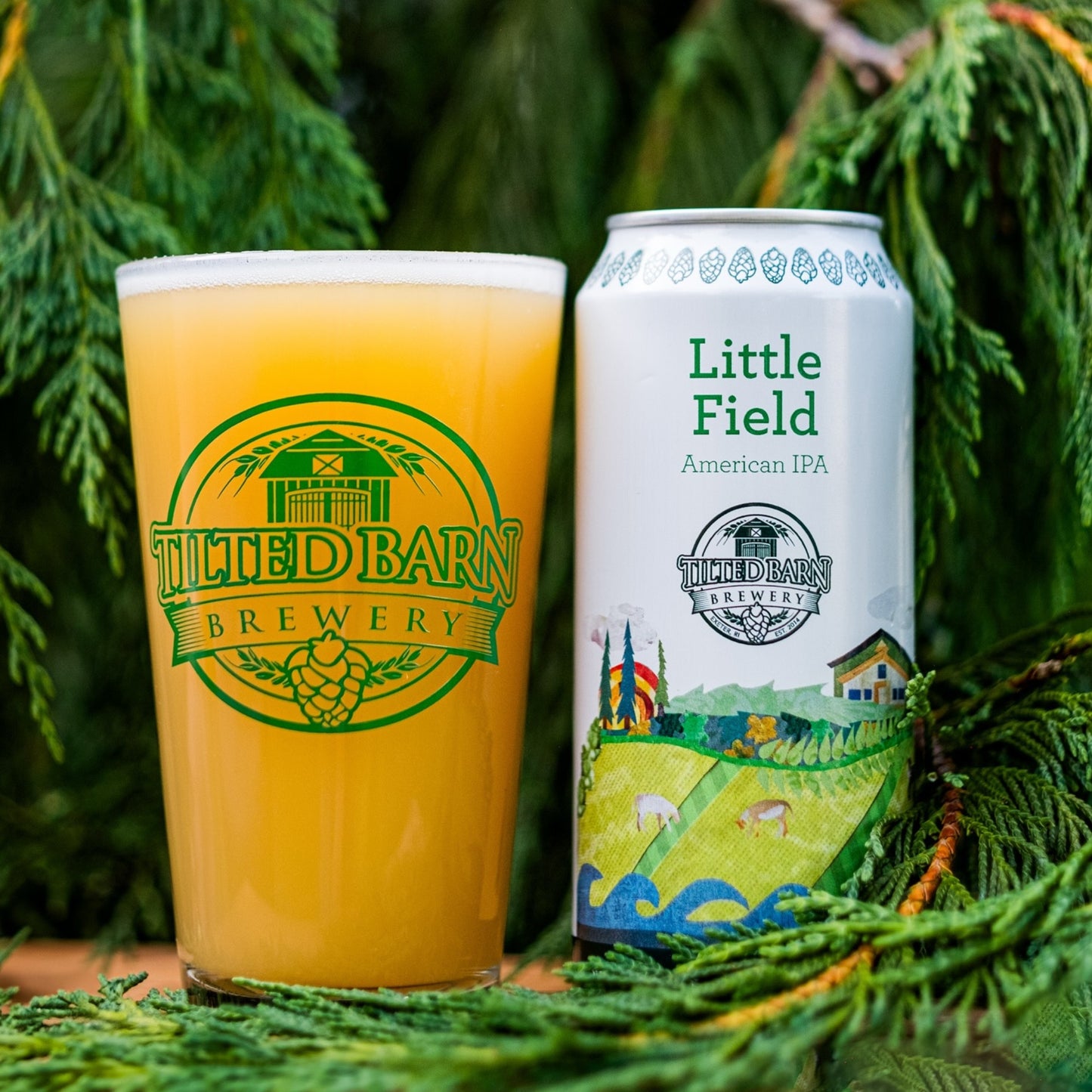 Little Field [Pre-Order]