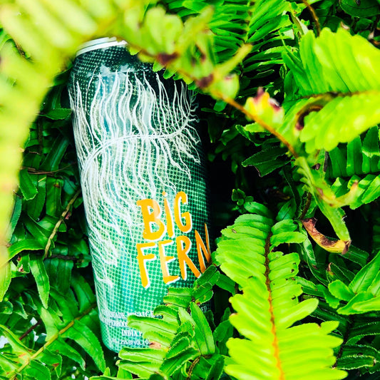 Big Fern