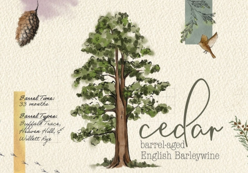 Cedar