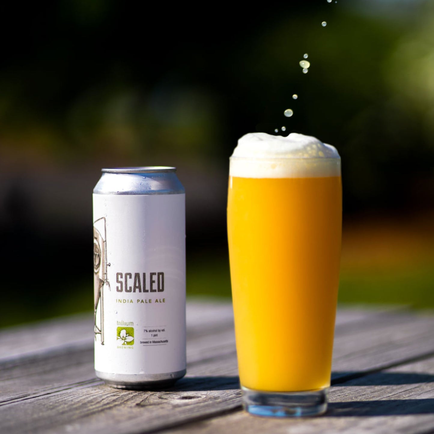 Scaled [Pre-Order]