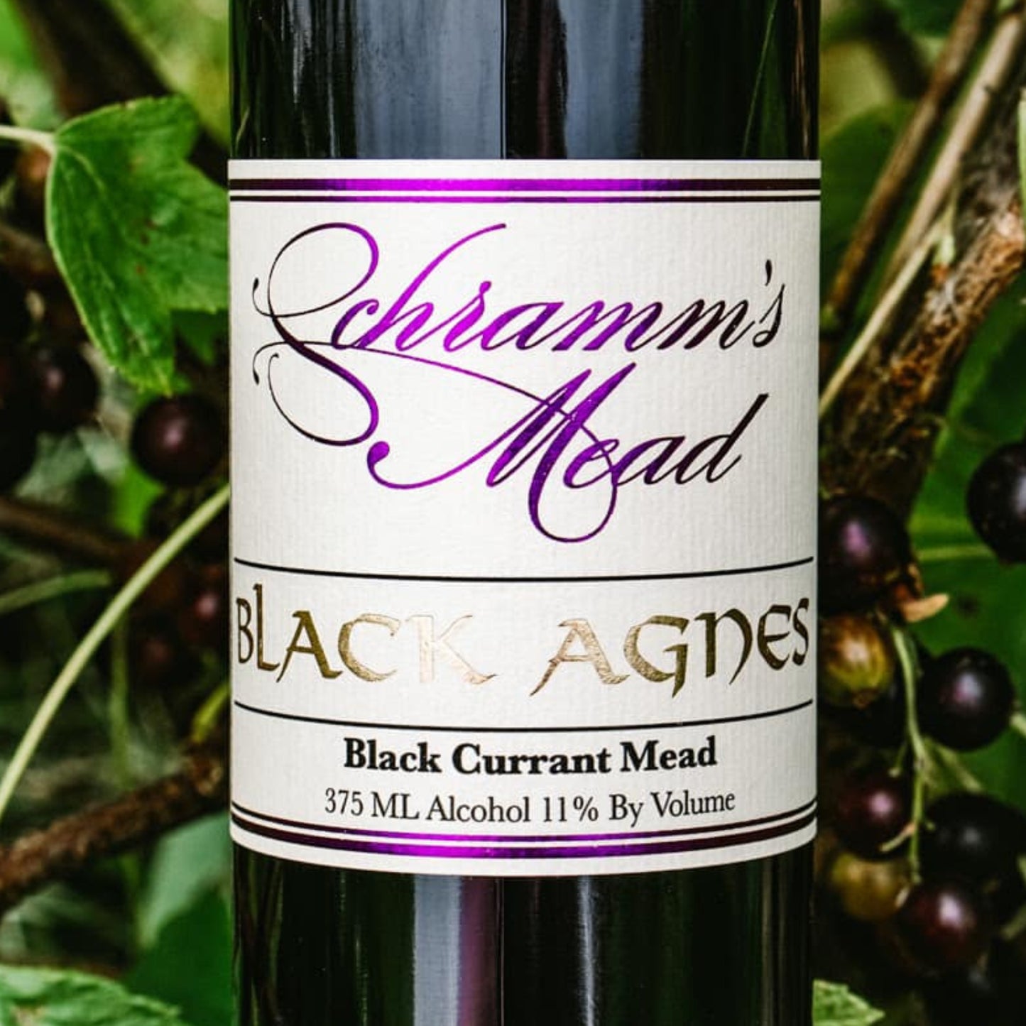 Black Agnes [Batch 17]