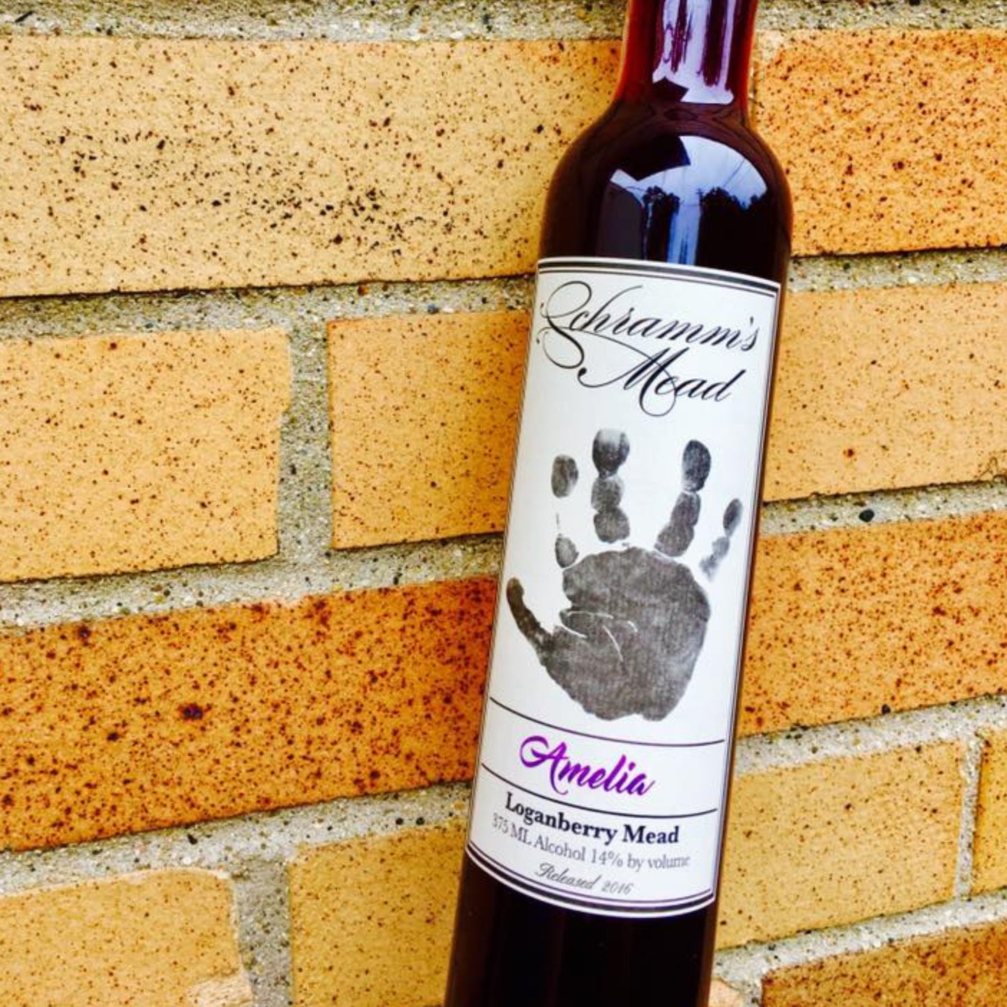 Amelia 8th Birthday [Loganberry Mead]