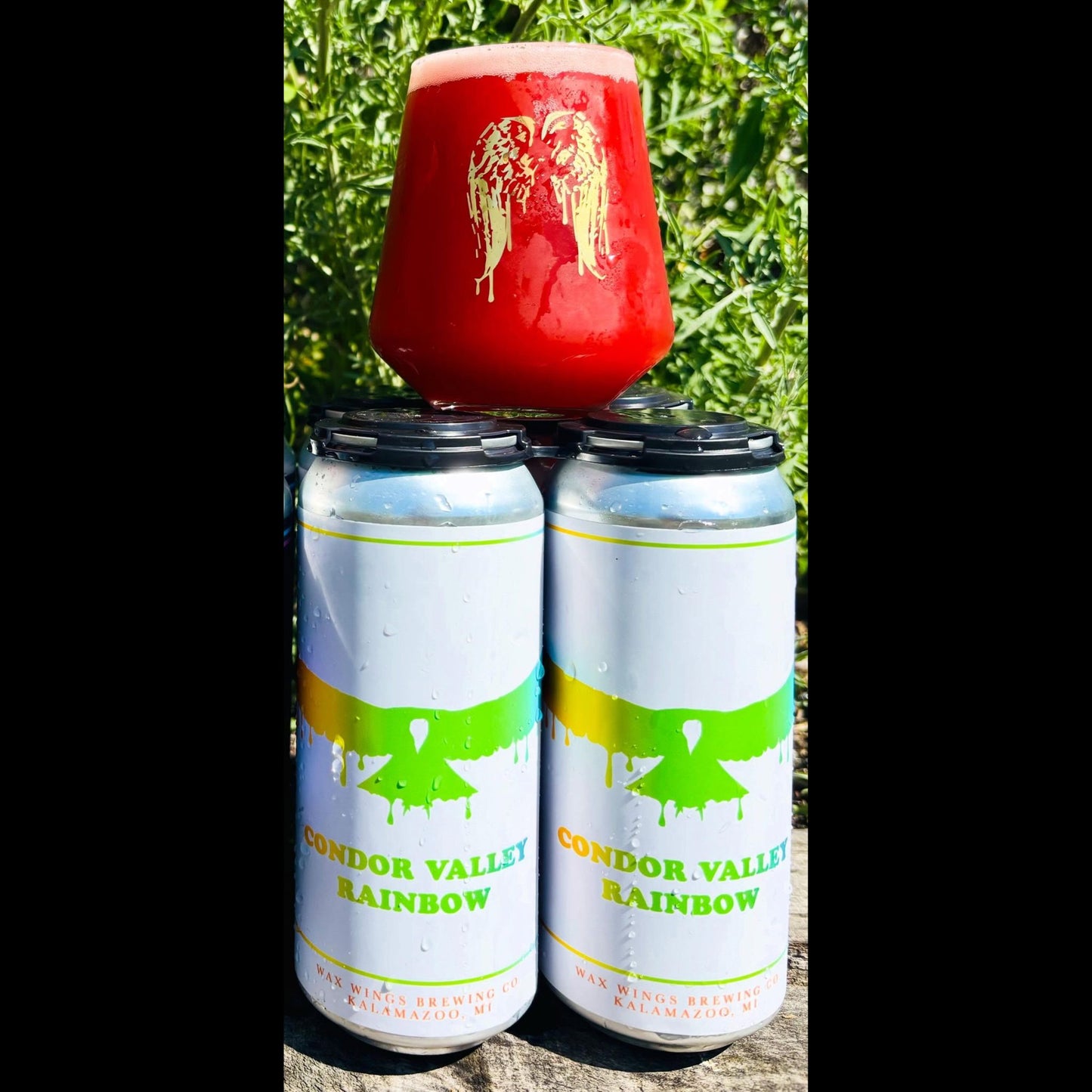 Condor Valley [Rainbow] [Pre-Order]