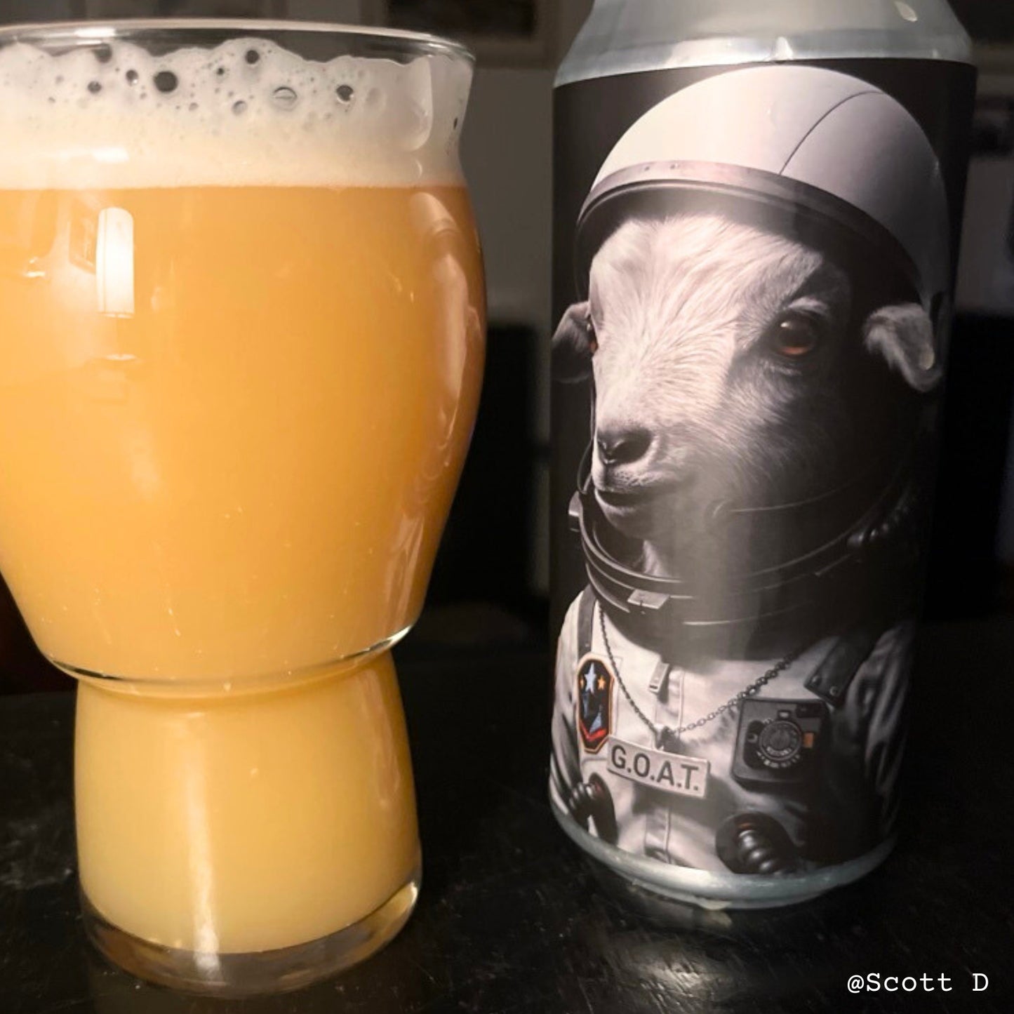 Space G.O.A.T [Pre-Order]