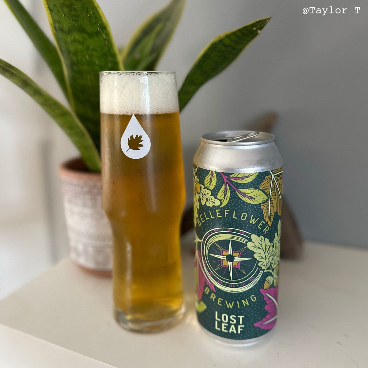 Lost Leaf [Pre-Order]