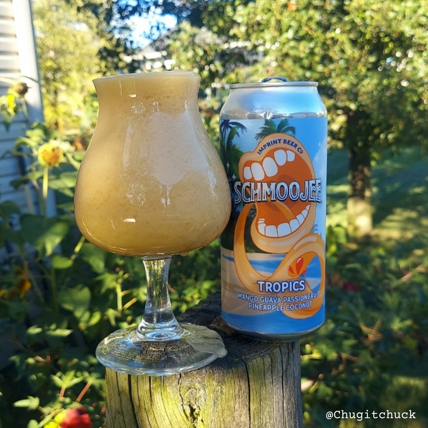 Schmoojee [Tropics] [Pre-Order]