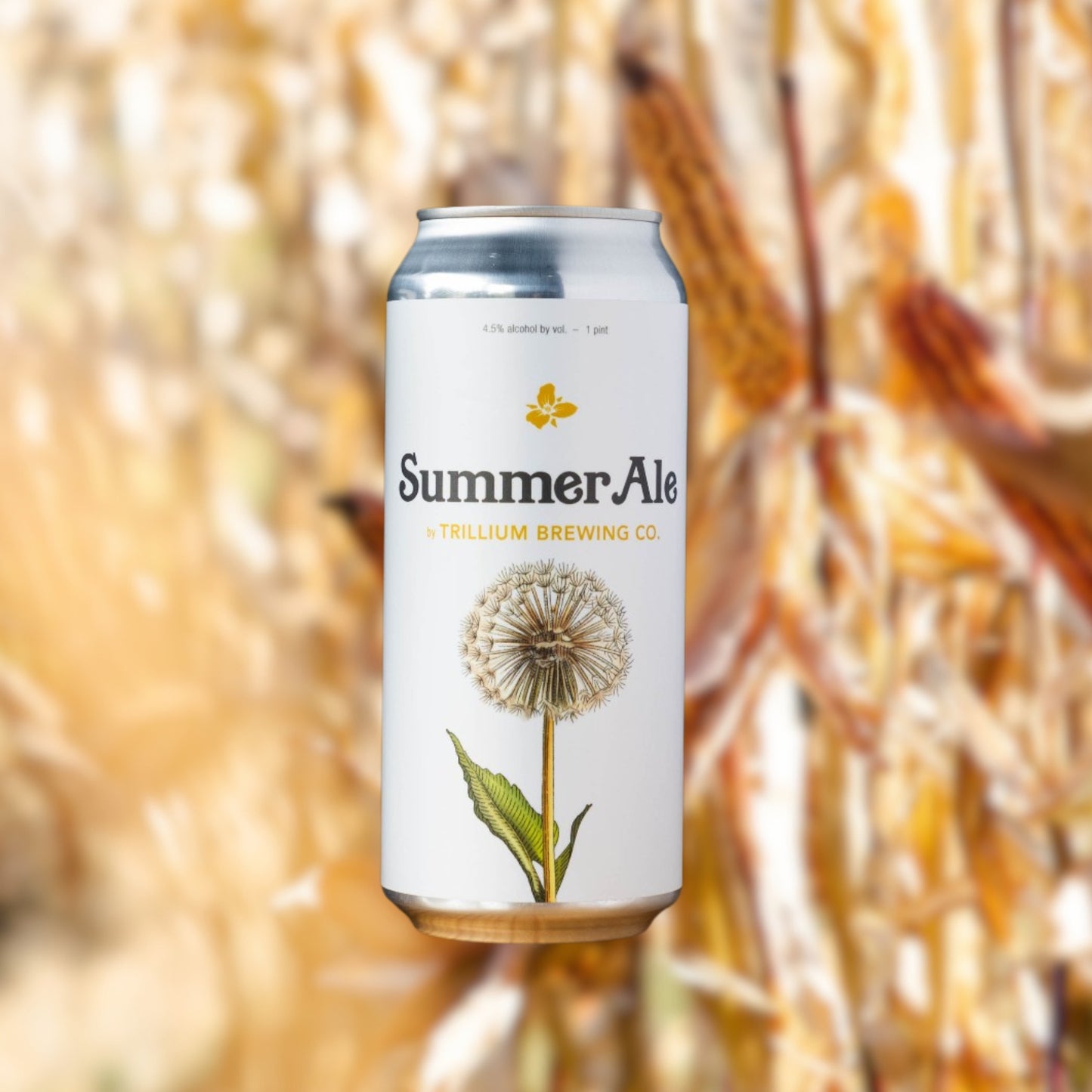 Summer Ale [Pre-Order]