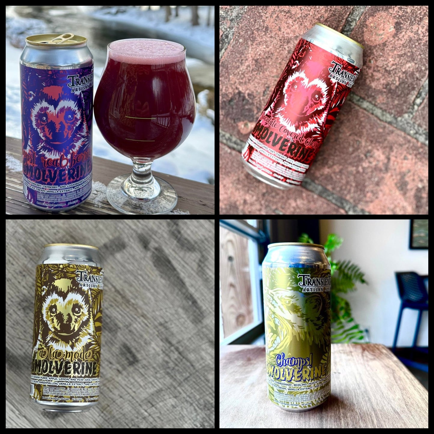 Transient Artisan Ales [Smoothie Sour Showcase] [Pre-Order]